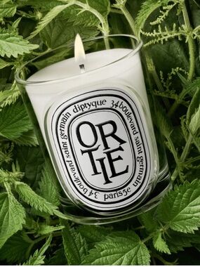 Diptyque Ortie Candle 190oz Diptyque Nettle Candle